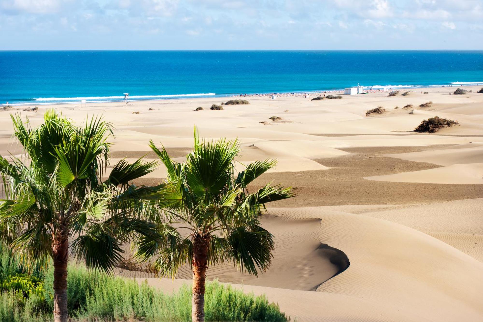 Pamro - Jaccuzi - Fitness Area - Free Wifi - Pool - Modern & Comfortable - Sunnygolf *