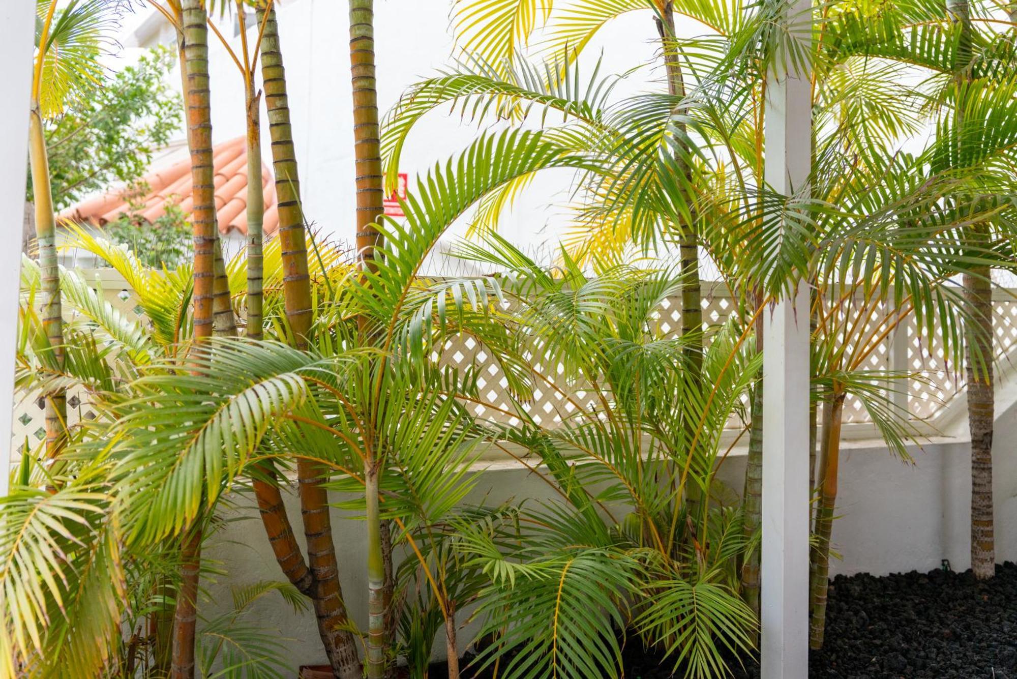 Pamro - Jaccuzi - Fitness Area - Free Wifi - Pool - Modern & Comfortable - Sunnygolf * Maspalomas (Gran Canaria)